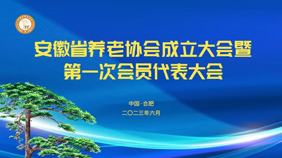公司參加安徽省養(yǎng)老協(xié)會第一次會員代表大會